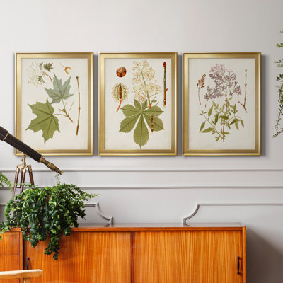 «Antique Leaves VII», ensemble de 3 impressions sur toile encadrées