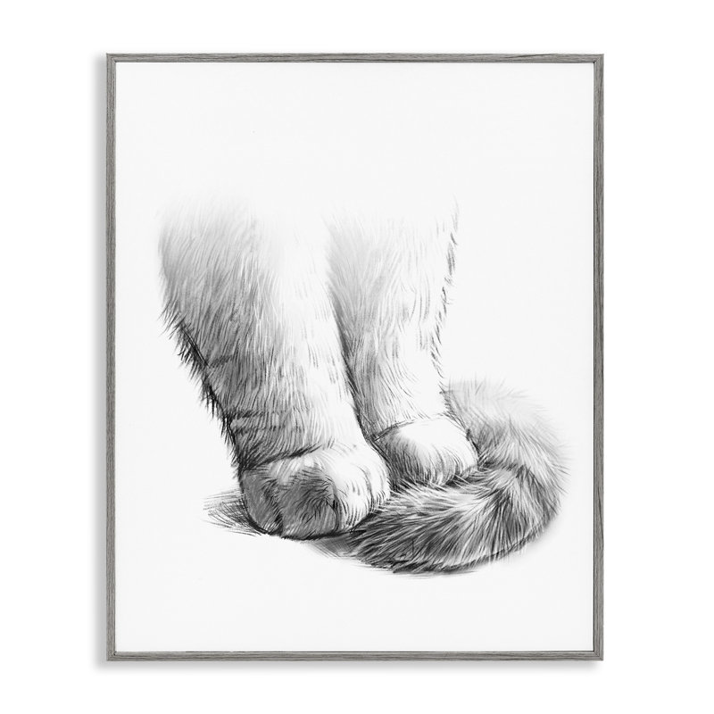«Fluffy Cat Paws Tail» par Ziwei Li, H 16 po x l 20 po, Estampe numérique Farmhouse