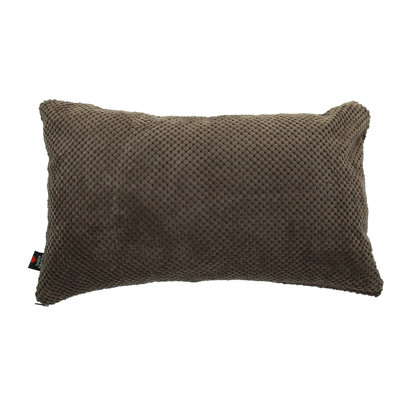 Alvarado Rectangular Throw Cushion