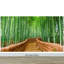 Murale forêt de bambou Mancelona Arashiyama-215166550