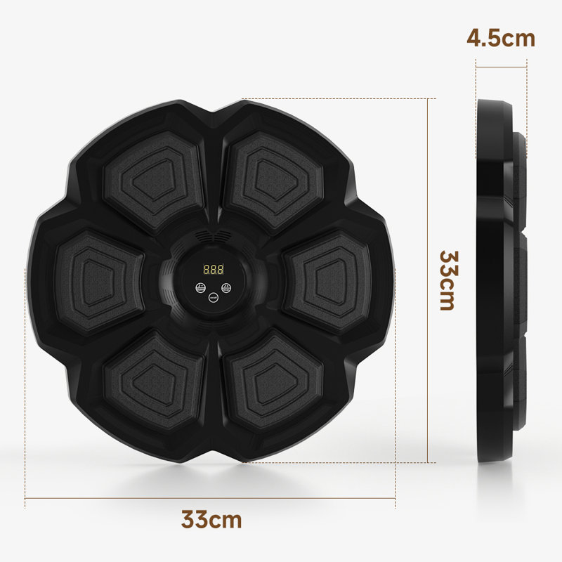 Wall Mount Music Boxing Target