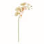 28-Inch Phalaenopsis Orchid Stem-966456597