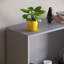 Modern Manufactured Wood Bookcase-123754592-123754591