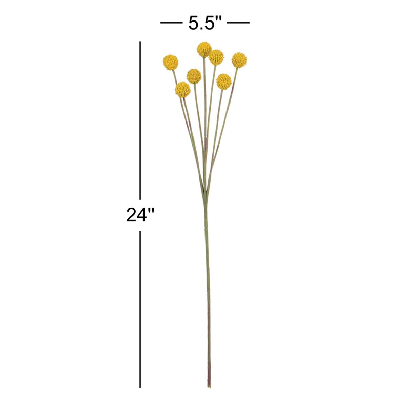 Billy Button Stem, Yellow