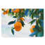'Oranges Hanging' Photographic Print on Wrapped Canvas-30365609