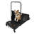 Dog Treadmill For Medium Dogs, Dog Treadmill Run Walk