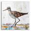 «Bird Collage» par Svetlana Aleynikova, art mural en verre acrylique-1092932957
