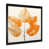 Black Single Picture Framed