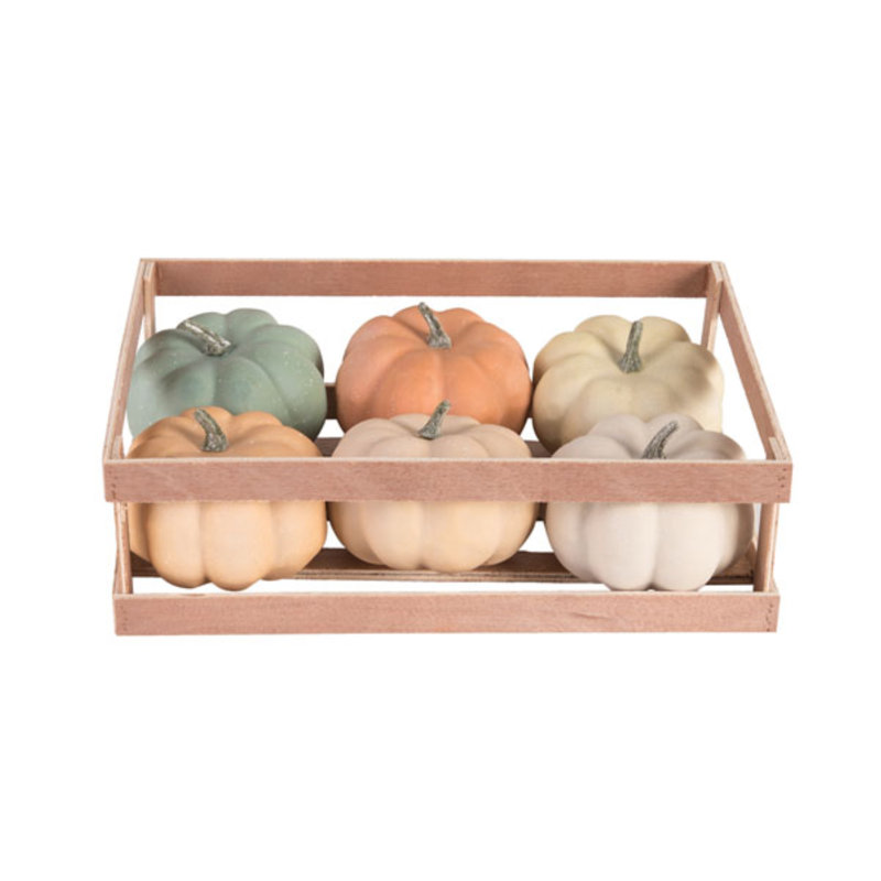 Foam 13.5 in. Multicolor Harvest Matte Pumpkin In Crate Set of 6