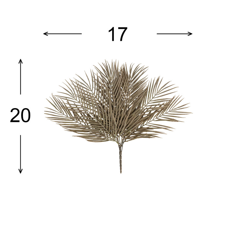 Areca Palm Stem