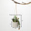 Plante grasse artificielle en pot 3 po Mcpeak