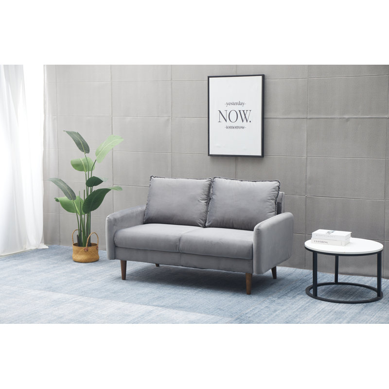Abdur-Rasheed 58'' Velvet Loveseat, Light Gray Velvet