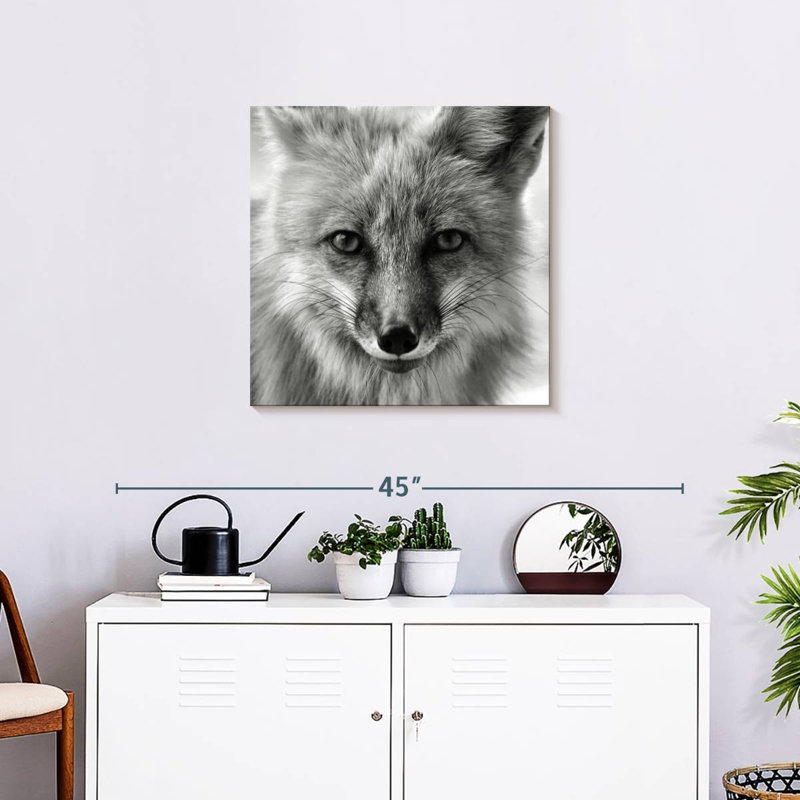 Crowle Fox Portrait, 24" H x 24" W