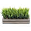 Jerrold 14 cm Artificial Grass in Planter