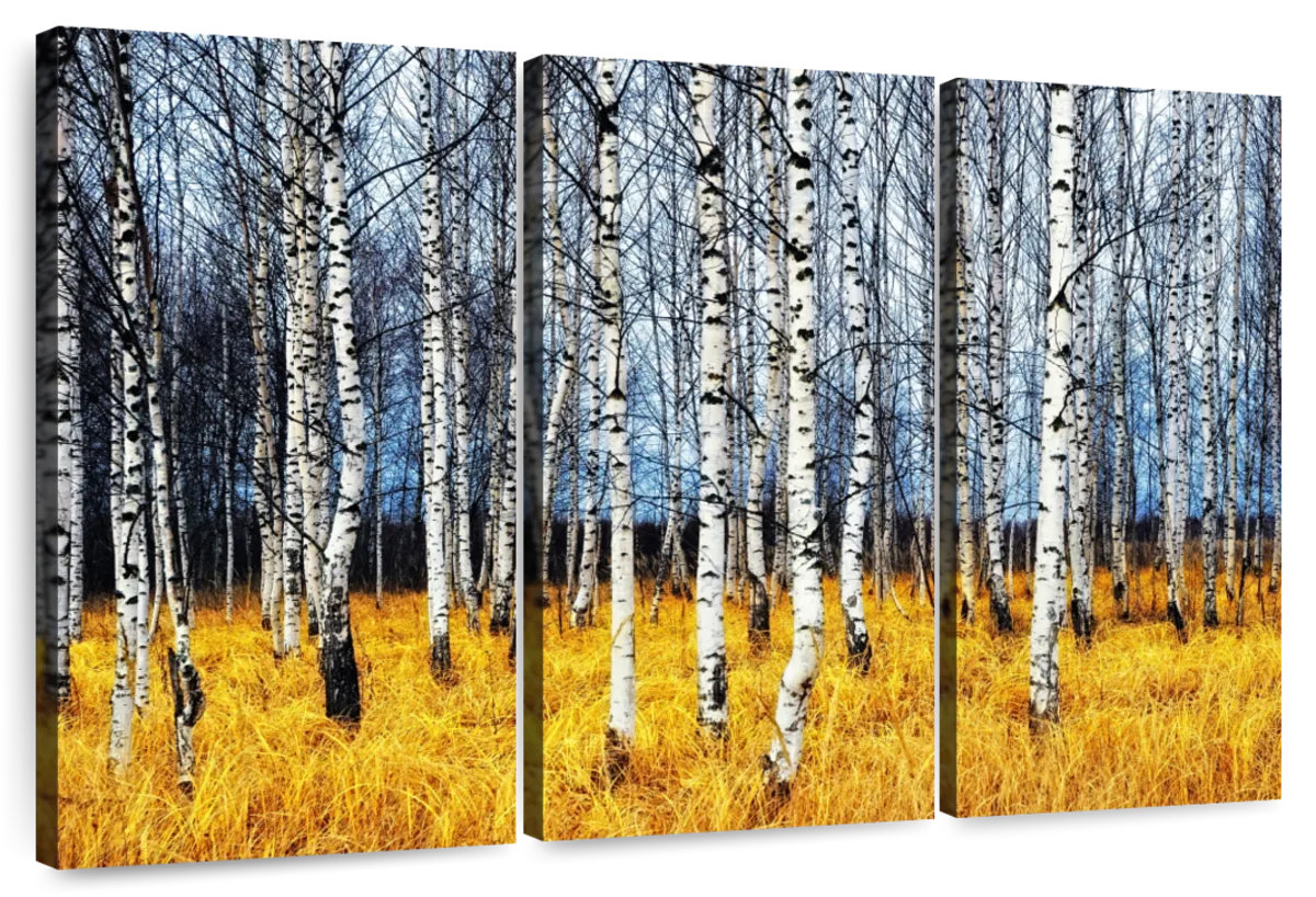 Millwood Pines Alvord Birch Woodlands | Wayfair