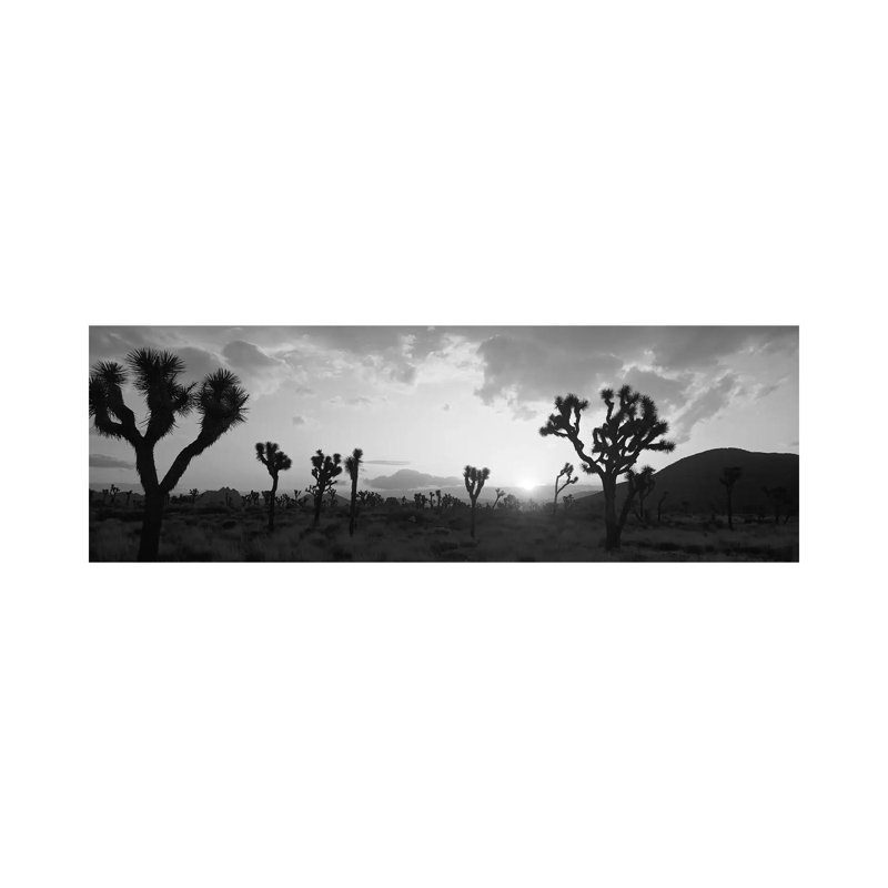 Sunset, Joshua Tree Park, California, USA 1 Piece Wrapped Canvas Panoramic Wall Art, 30.48 cm H x 91.44 cm W x 1.91 cm D
