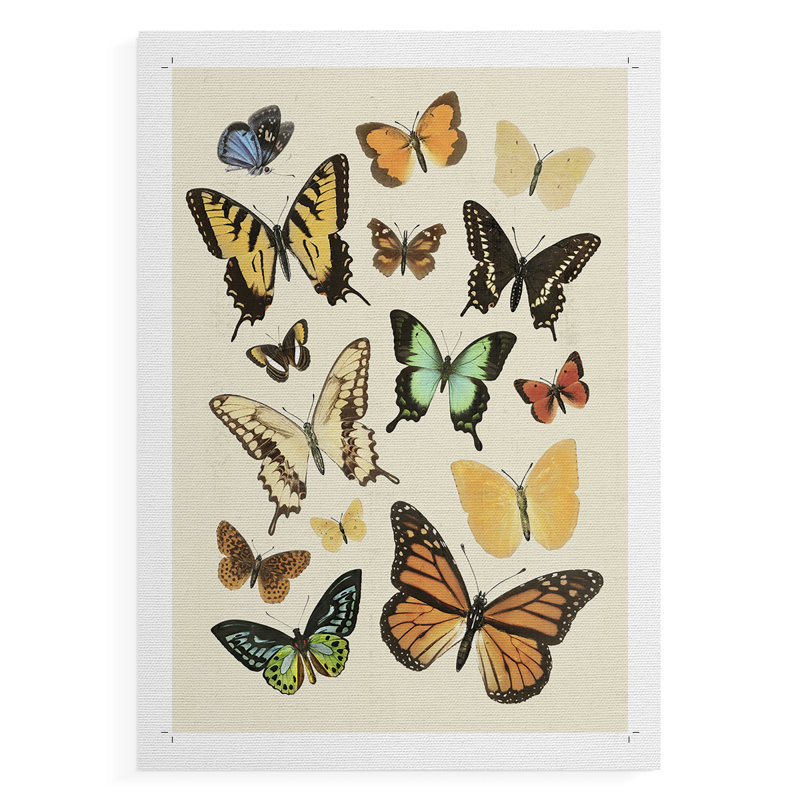 «Collection Flutter I», impression sur toile seulement - non encadrée, H 27 po x l 18 po
