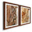 «Tree Texture Triptych I-Premium», reproduction encadrée prête à être accrochée-1200601964-1200601966