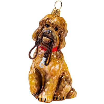 Labradoodle with Leash
