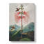 Flowering Plant And Birds by R.J. Thornton - Wrapped Canvas Painting-55364004