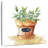 Harnek Potted Bay Leaf-109207056