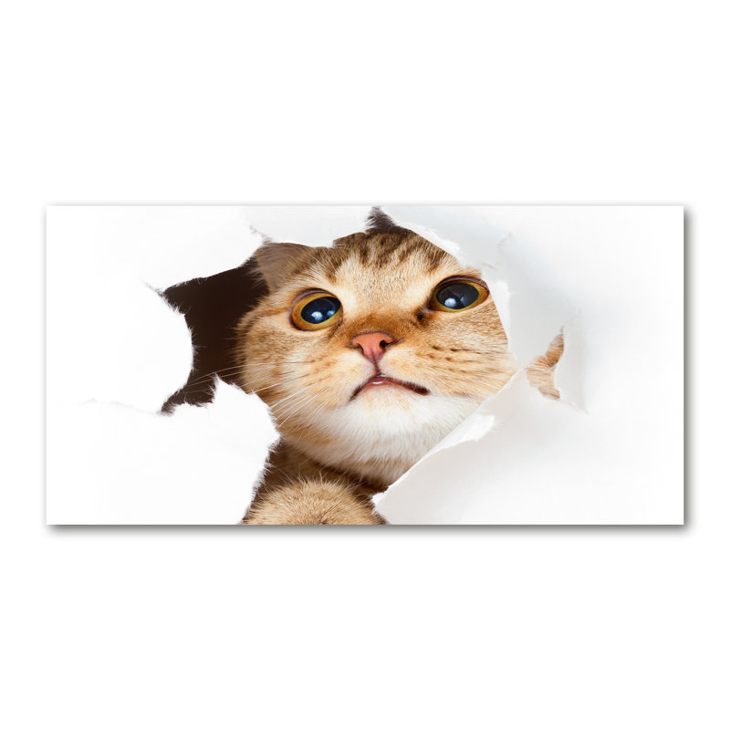 Cat In The Hole - Wrapped Canvas Print