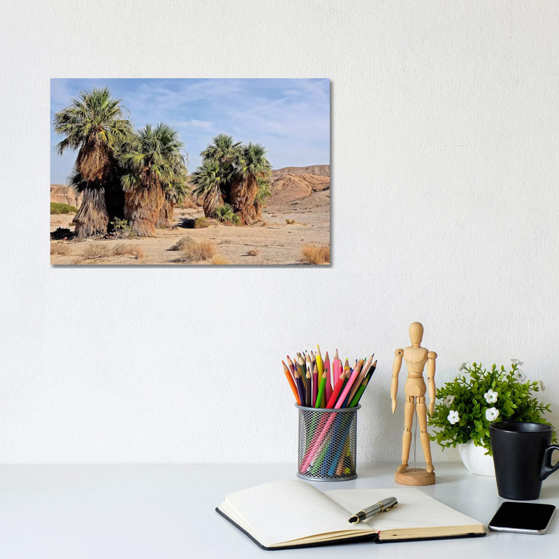 17 Palms Oasis At Anza Borrego by Brian Wolf - Wrapped Canvas Print, 20.32 cm H x 30.48 cm W