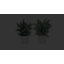 Plante 12,5 po Mcclain