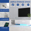 Console de télévision avec armoires de rangement