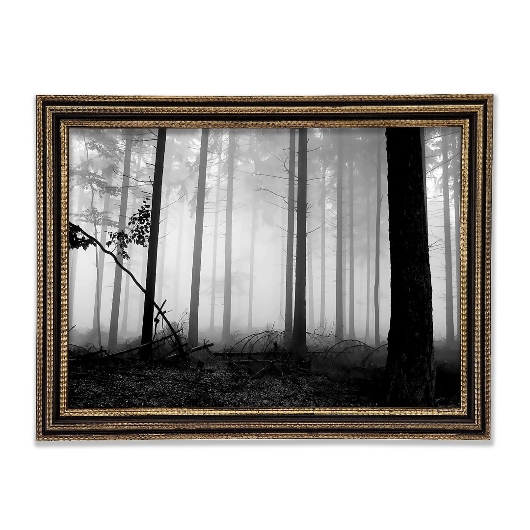 Black N White Woodland Mist Gerahmter Druck