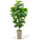 72" Faux Fiddle Leaf Fig Tree In Black Planter