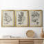 «Antique Black and White Botanical IV», ensemble de 3 peintures sur toile encadrées-508101474-508101479