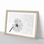 Flower Sketch - Picture Frame Graphic Art Print-56713622-56713624