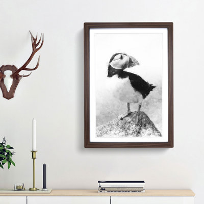 The Atlantic Puffin Bird - Framed Print
