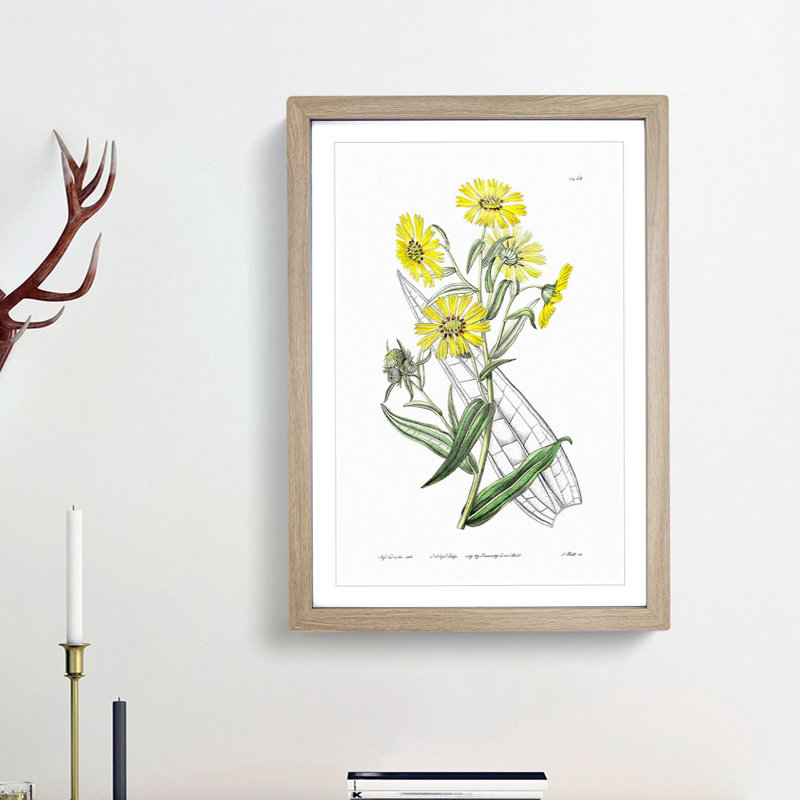 Yellow Daisies - Picture Frame Painting Print, 65cm H x 48cm W x 2cm D, Oak Framed