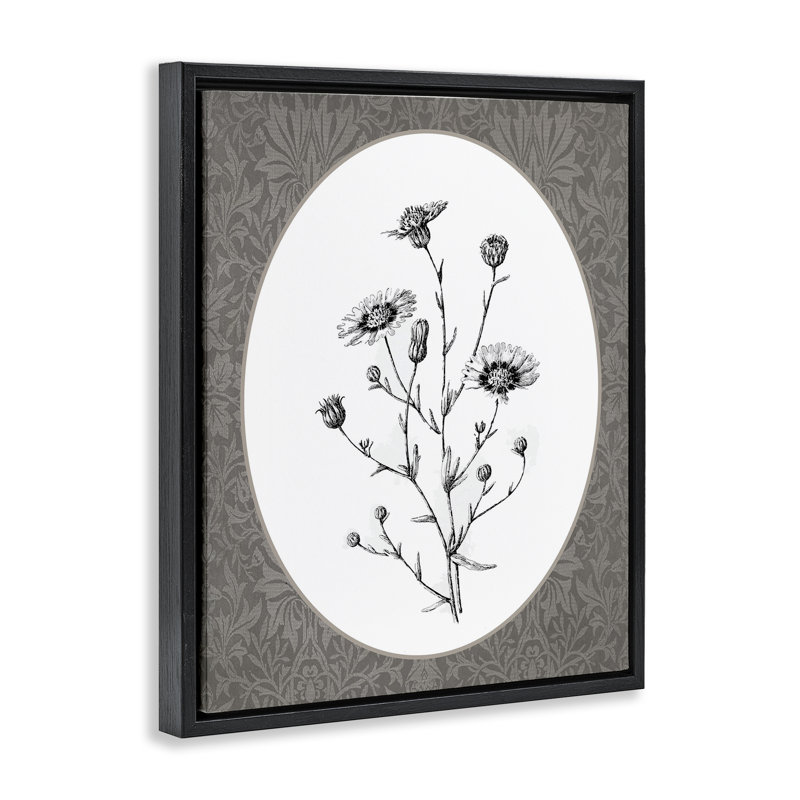 Art mural encadré, "Wild Daisies", Cadre flottant noir de jais, H 21 po x l 17 po