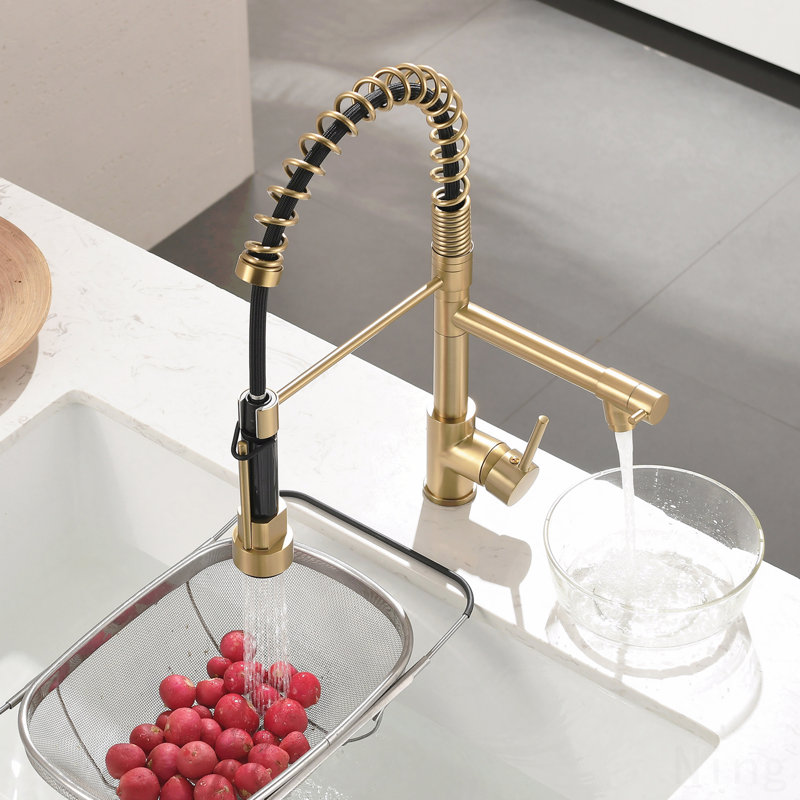 Robinet d'évier de cuisine à poignée simple avec douchette extractible