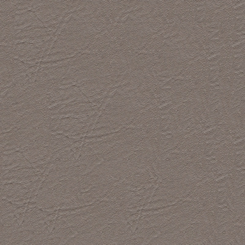 Tissu en similicuir Spradling Heidi, Champagne