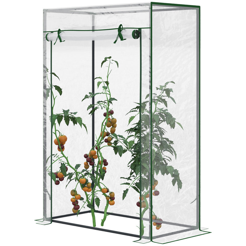 Mini Greenhouse with PVC Cover, Tomato Greenhouse with Roll-up Door, Outdoor Grow House Small Green House 100 x 50 x 150cm