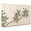 Flowers Of The Four Seasons Vol.3 by Shen Zhou - Wrapped Canvas Painting-55363967