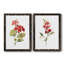 Écarlate géranium - ensemble de 2 reproductions d'art-2102043223-2102043202-2102043211