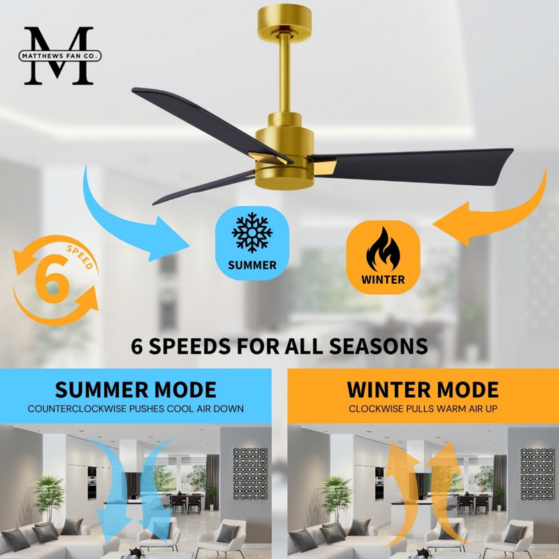 Alessandra Outdoor Downrod Ceiling Fan, Matte Black, Brushed Brass