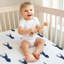 Drap-housse pour lit de bébé Stag par Sweet Jojo Designs