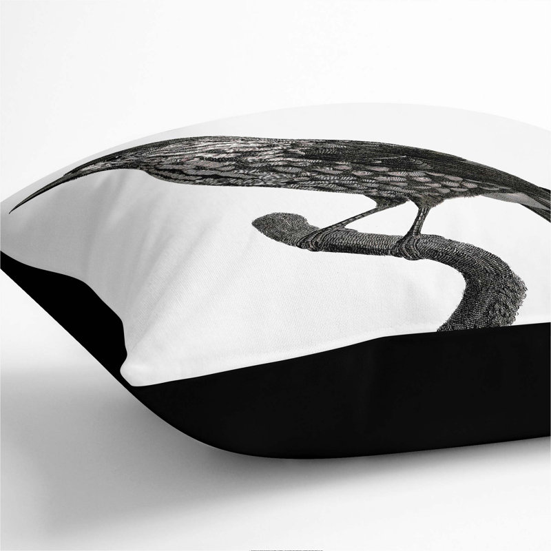 Square Cushion, Black, 55cm H x 55cm W x 20cm D