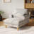 Upholstered Chaise Lounge With Adjustable Backrest