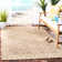 Lynn Performance Oriental Indoor/Outdoor Area Rug