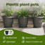 Planter-2036036880-2036036910