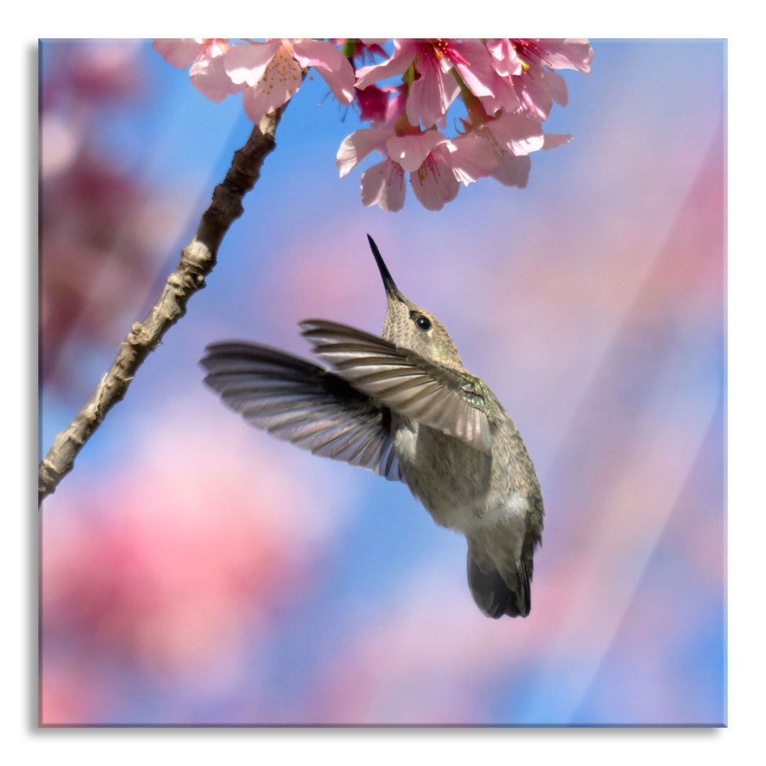 Glasbild Kolibri an Kirschblüte