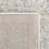 Delmer Performance Oriental Rug