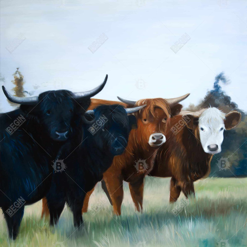 Four highland cows - 26"x26" Throw pillow cover - Poly twill - Print on demand, 26" x 26"